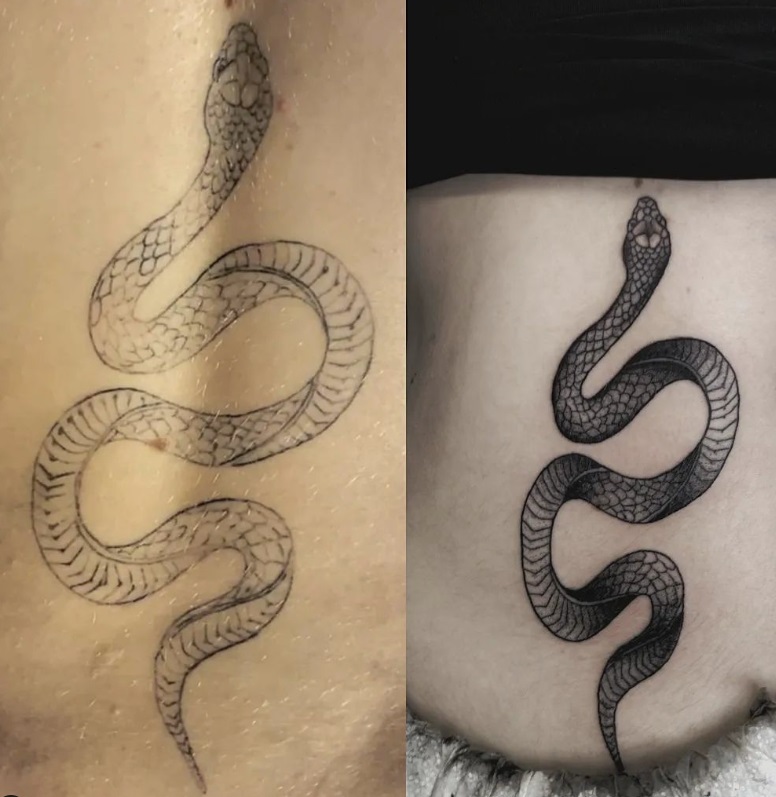 Cover snake tattoo