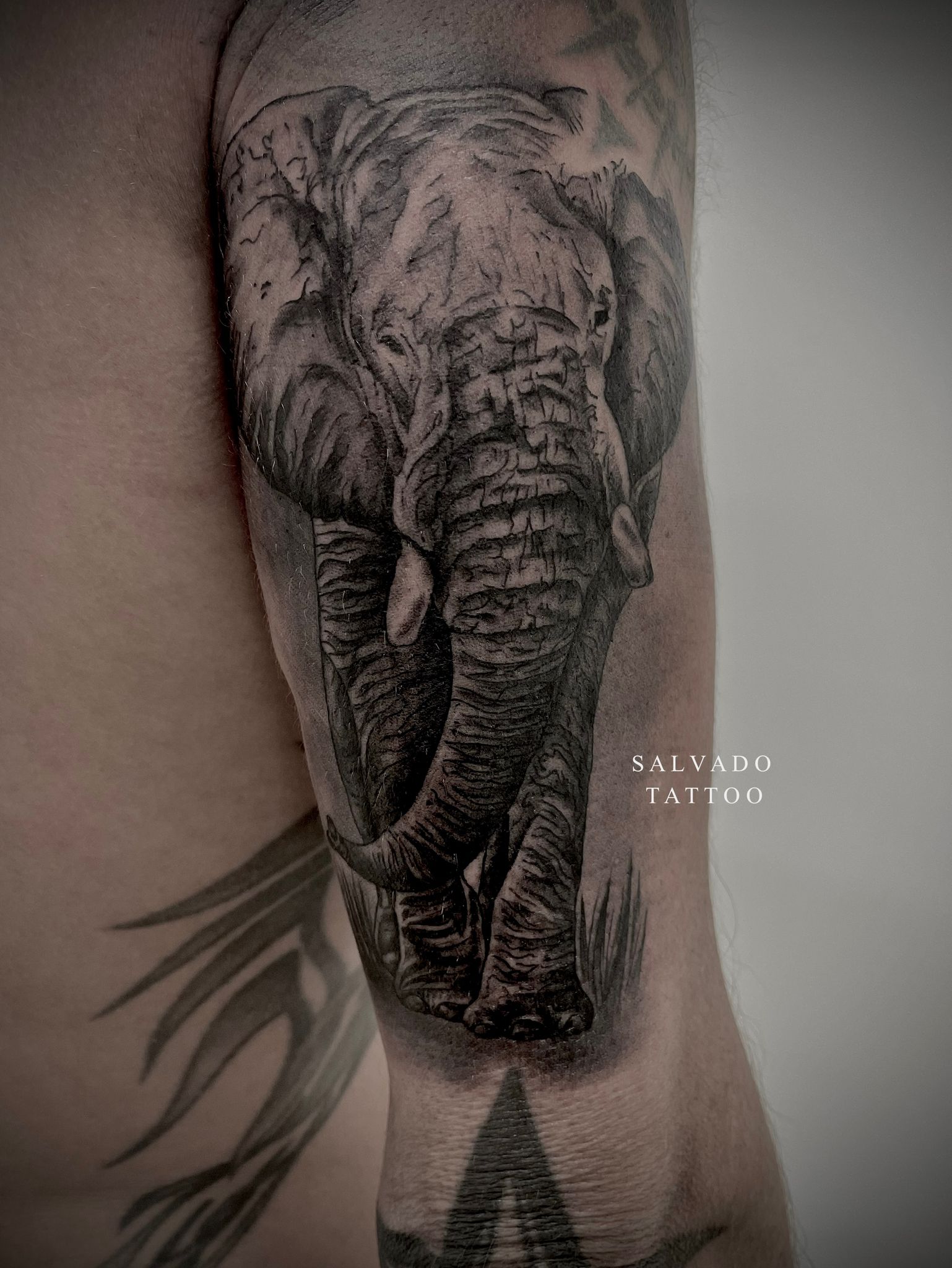 Elephant tattoo