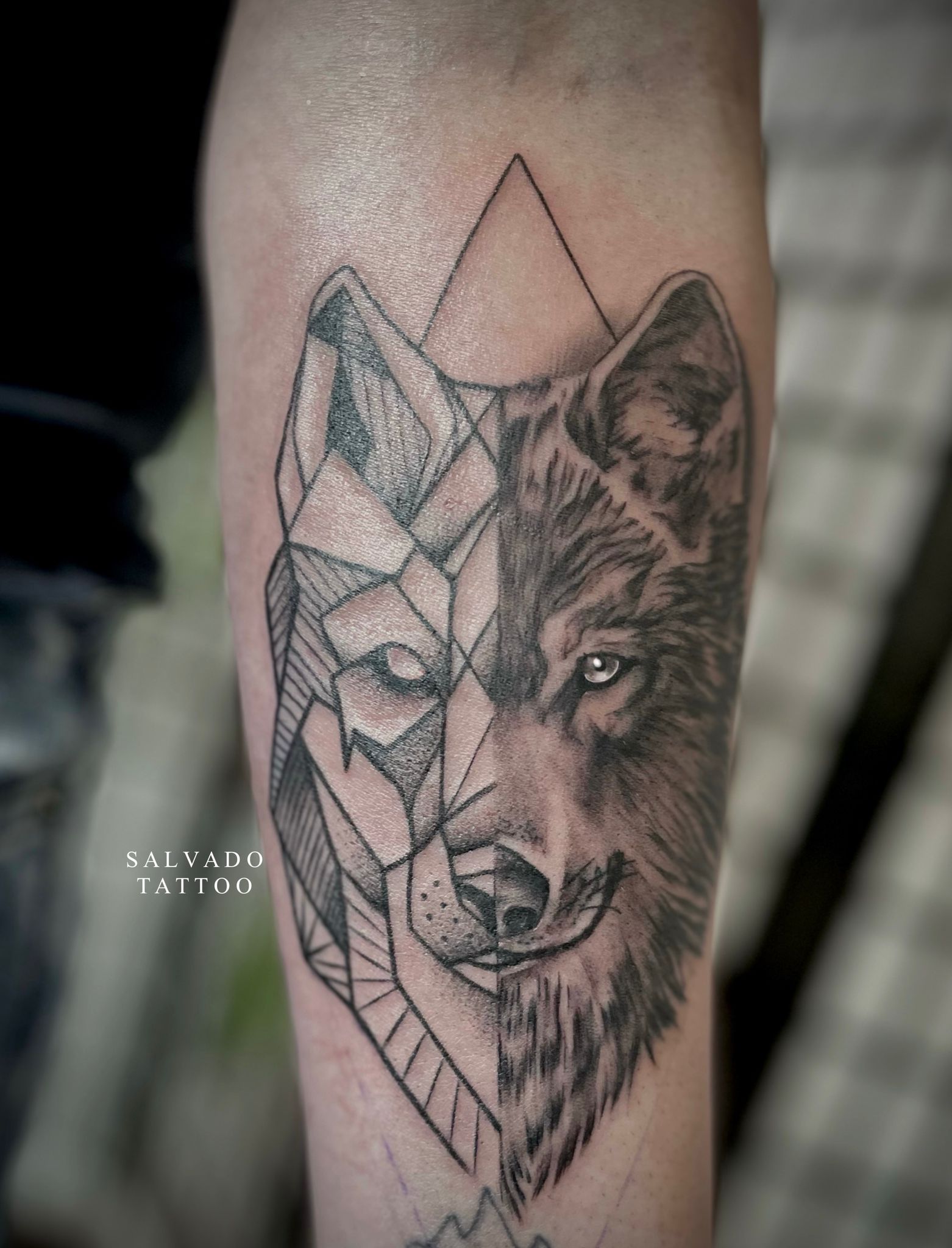 Wolf tattoo