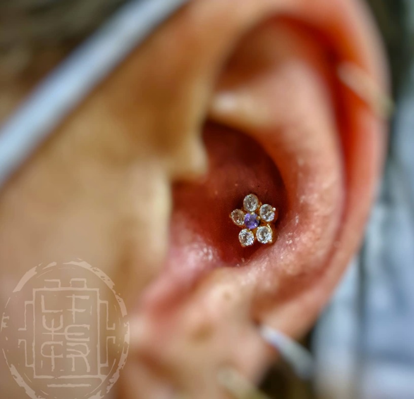 Conch piercing