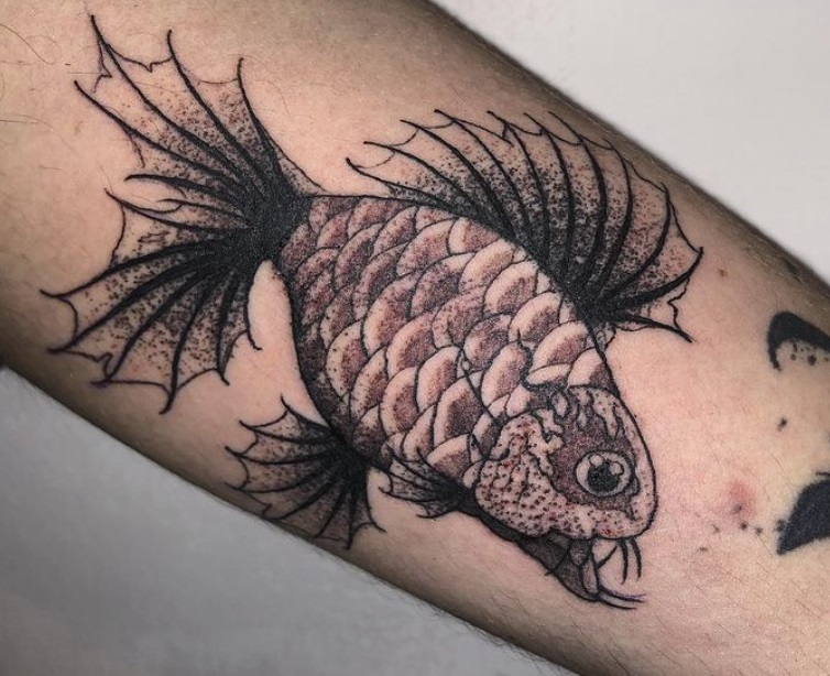 Koy tattoo