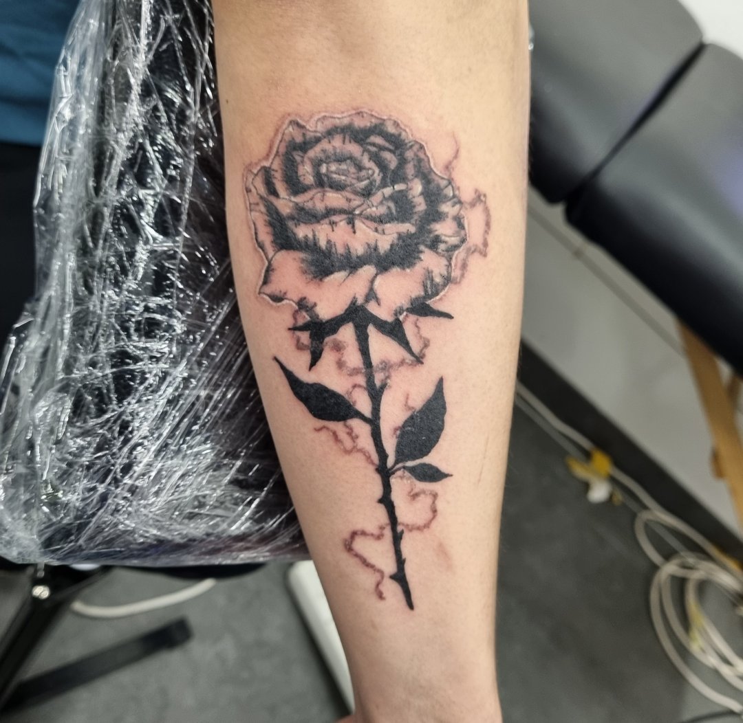 Rose bateau